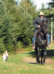 Canada-Quebec-Quebec Ride on "Black Canadians"